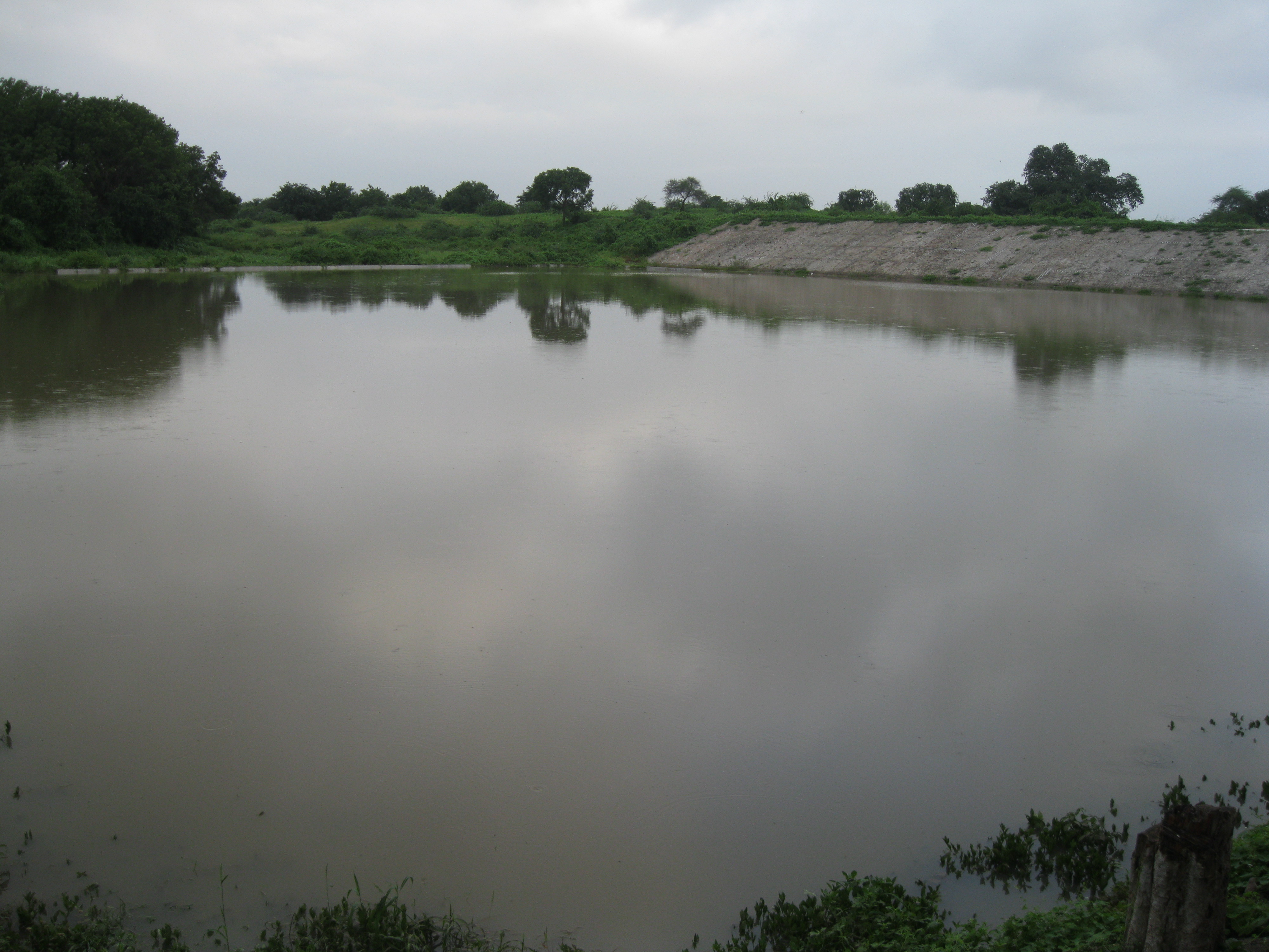 The  story of maansarovar